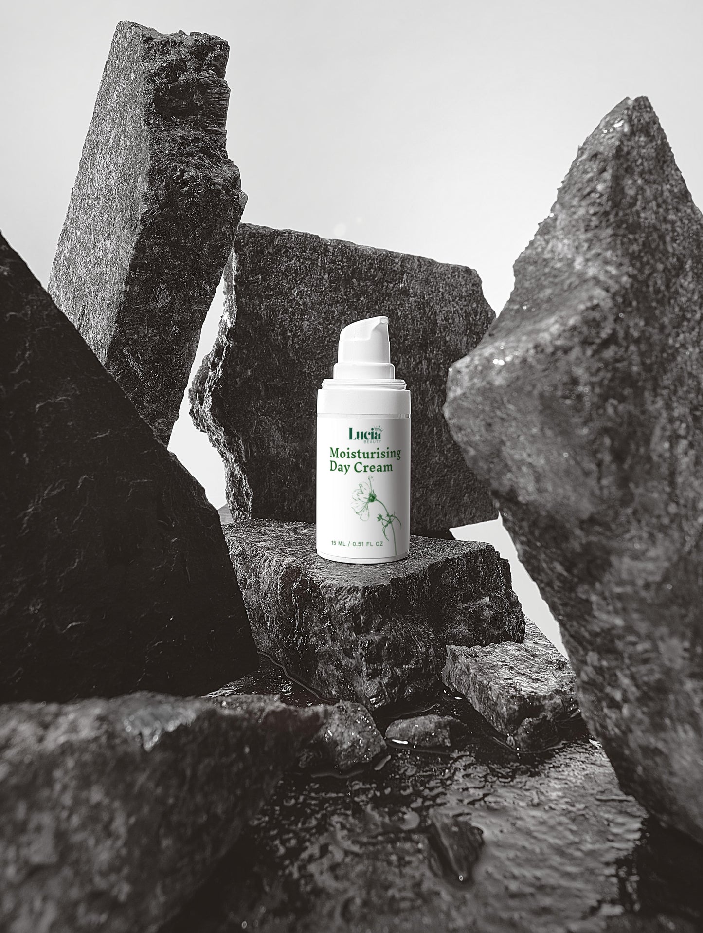 The Bestsellers Collection Box